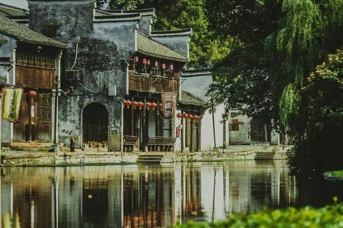 春雨直播app